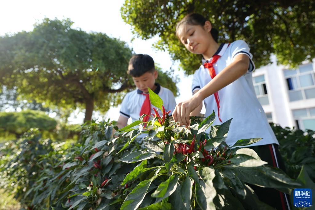 百万发手机登录平台